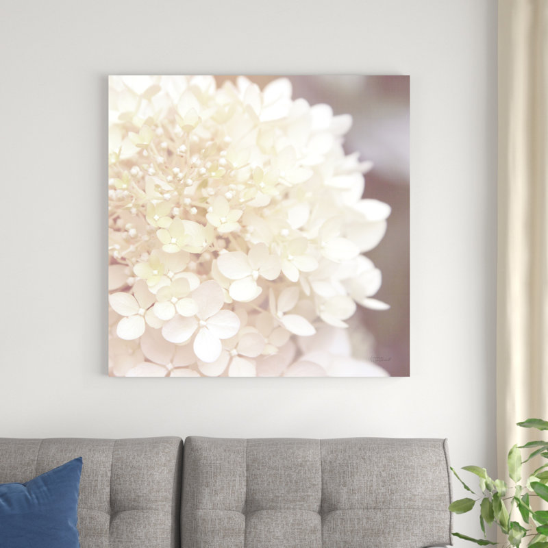 Hydrangea Dream I, H 36 po x l 36 po