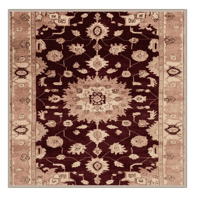 Machine Washable Overdyed Brown Area Rug
