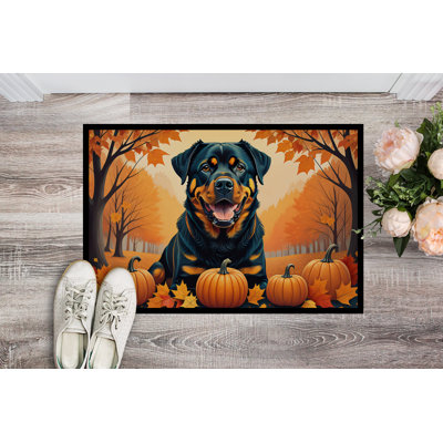 Nou Non-Slip Doormat