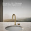 Aquifer4-In-1 Short Arc Beverage Faucet-1316044453
