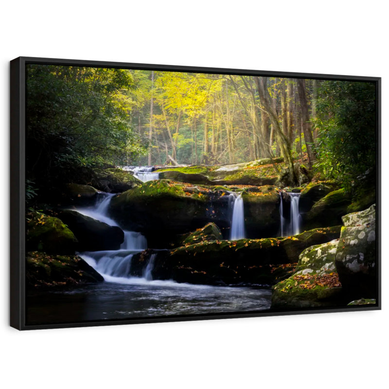Impression sur toile Stream In The Smokies, H 25 po x l 17 po