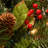 7.5' Pre-Lit Pine Christmas Tree