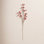 Berry Floral Stems