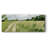 " Meadow Trail I "