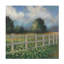 «August Grove®», art mural David Swanagin-101565534