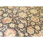 Hand Knotted Wool Area Rug in Black And Ivory