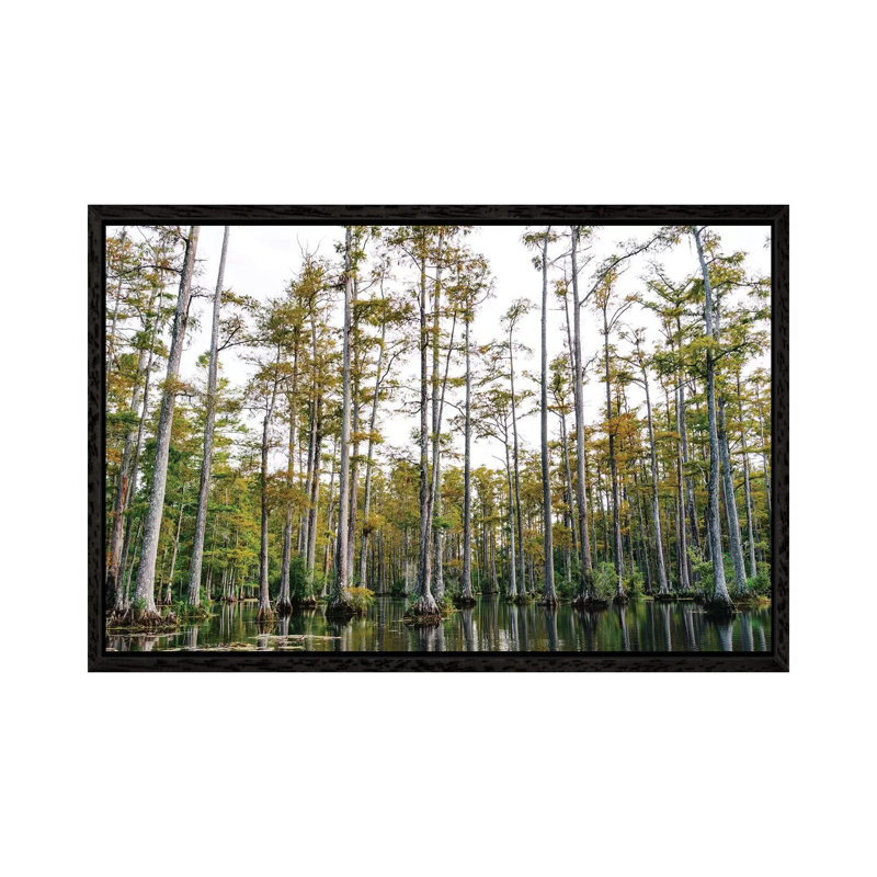 Charleston Cypress Gardens LII 1 Piece Wall Art on Canvas, 45.72cm H x 66.04cm W x 3.81cm D, Black Framed