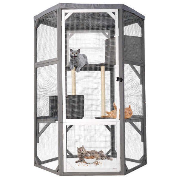 Ebern Designs Catio Outdoor Cat Enclosures, Large Wood Cat House, Cat ...