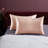 Silk Satin Soft Pillowcases 2 PCS(Cover Only)-383445837-383445838