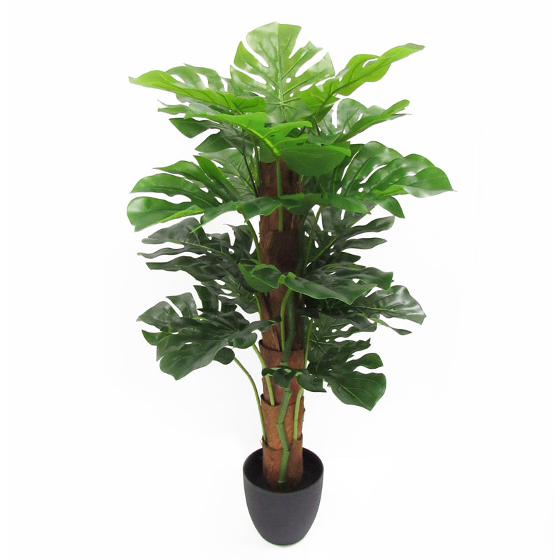 Arbre à fleurs 34 po Philodendron Monstera avec écorce de coco en pot
