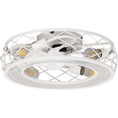 Caged Ceiling Fans With Lights And Remote