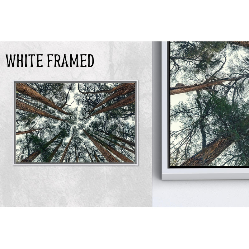 Reproduction d'art sur toile imprimée: Paysage de forêt élégant pour petite fille, toiles à cadre blanc 1P