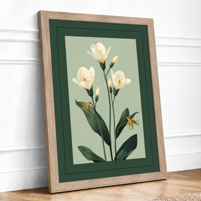 Pale Blooms Study Botanical - Framed Print