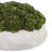 Sedum Arranged in a Stone Planter-774965369-774965254