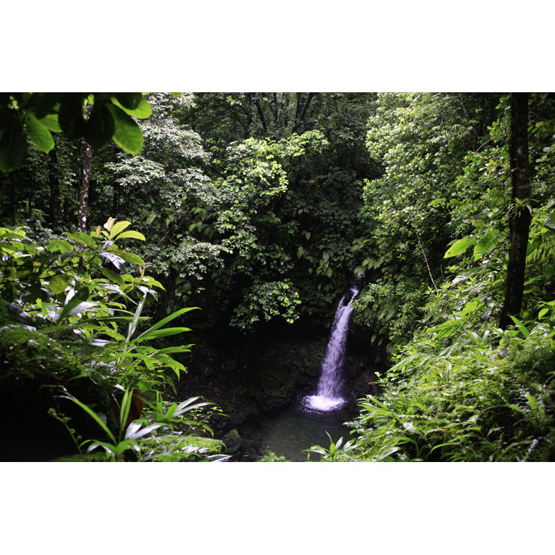 Middleham Falls, Dominica by DonFord1 - Wrapped Canvas Print, 30cm H x 46cm W