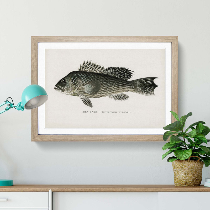 Sea Bass Fish by Sherman F. Denton - Picture Frame Painting Print, Oak Framed, 27cm H x 36cm W x 2cm D