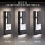 Vail 1 - Light LED Outdoor Sconce-879504955-879504952