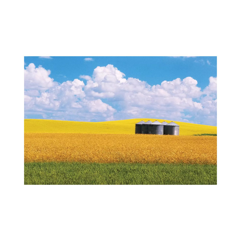Canada, Manitoba, Bruxelles Grain Bins Amid Wheat and Canola Crops 1 Piece Wrapped Canvas Wall Art