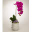 Orchid in Container with Amethyst