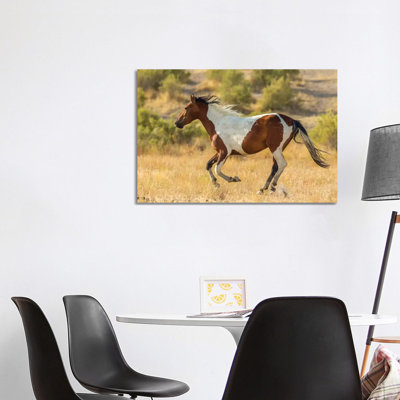 USA, Utah, Tooele County. Wild Horse Running. by Jaynes Gallery - Wrapped Canvas Gallery-Wrapped Canvas Giclée