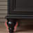 Black design-oriented TV Stand-1310123224