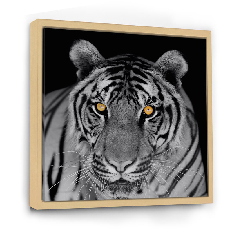 Impression monochrome sur toile, Portrait monochrome d'un tigre blanc II, H 36 po x l 36 po x P 1 po