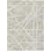 Machine Washable Indoor/Outdoor Chayden ACN1040 Rug