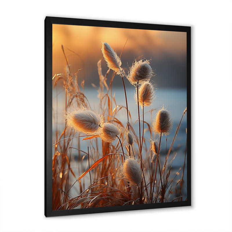«Beachgrass Sunset Nature Herbs I», reproduction d'art sur toile, Cadre simple noir, H 20 po x l 12 po x P 1 po