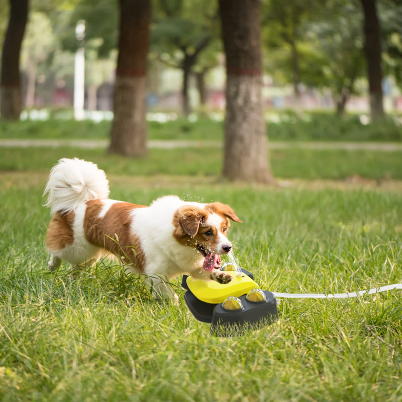 Pet Fountain, Yellow/Black