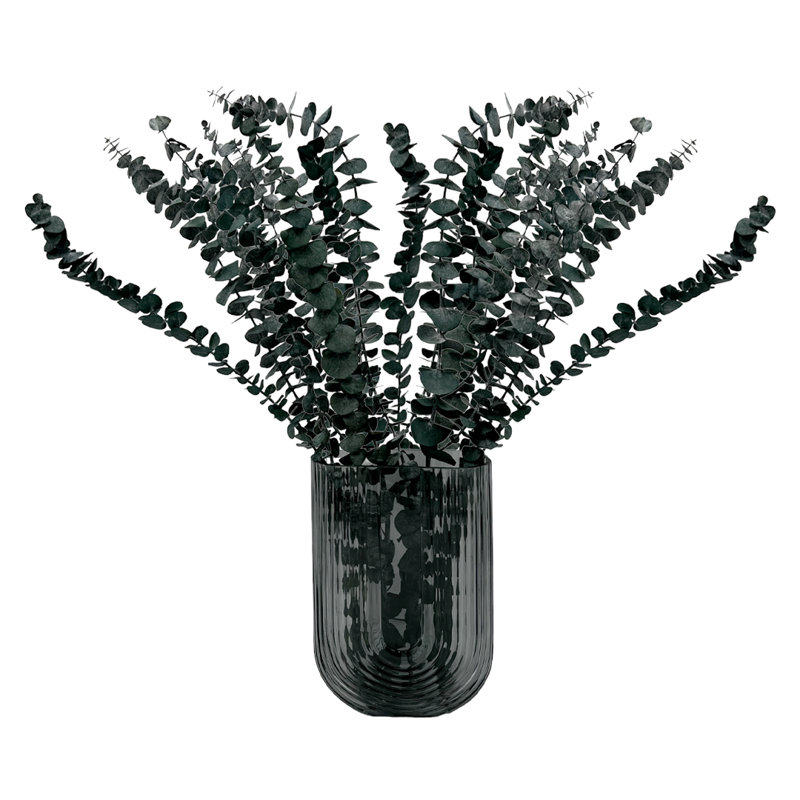 Ensemble de 4 bouquets d'eucalyptus séchés, Bleu