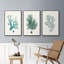 Ensemble de 3 pièces encadrées sur toile Antique Coastal Coral IV-97760324-97760326