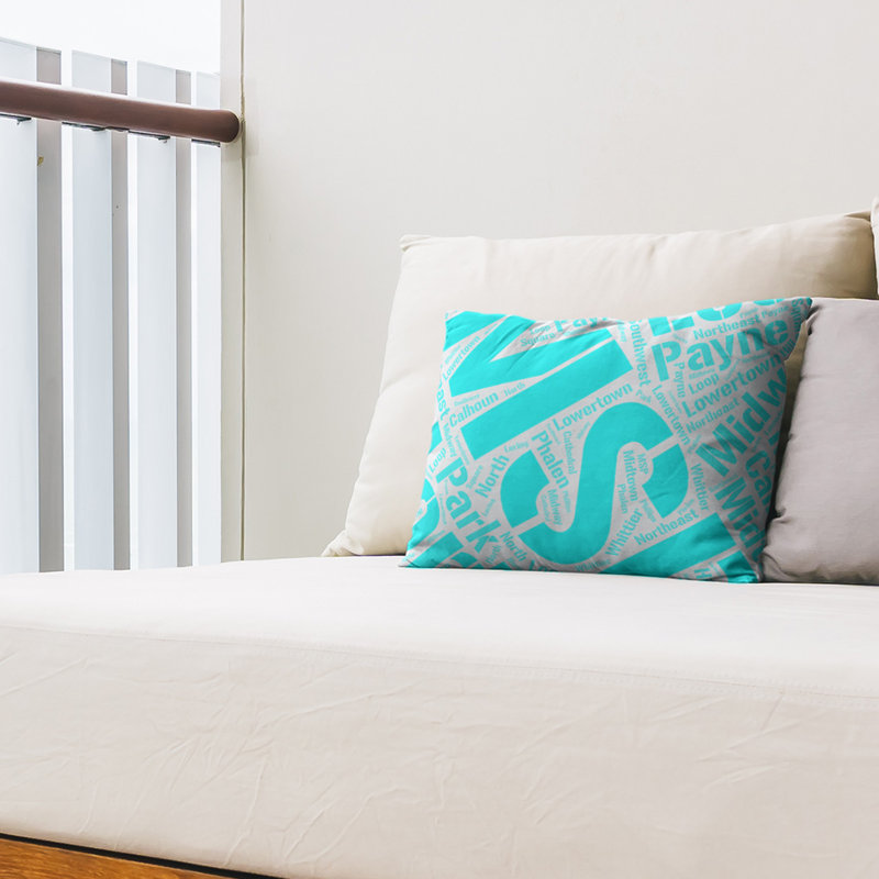 Coussin lombaire intérieur/extérieur minneapolis saint paul, Cyan, Non
