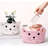 Cat Storage Basket Woven Organizer With Ears Decorative Pet Toy Cute Bin Cotton Rope Basket For Gift Cat Dog Toy Container Nursery Room-2026288624