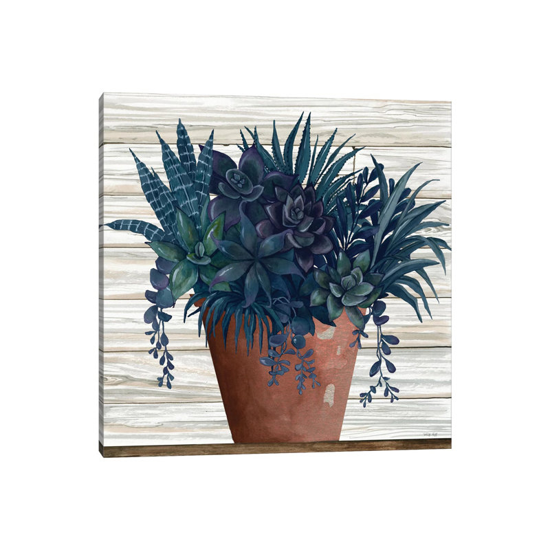 Remarkable Succulents II by Cindy Jacobs - Wrapped Canvas Print, 45.72 cm H x 45.72 cm W x 1.91 cm D