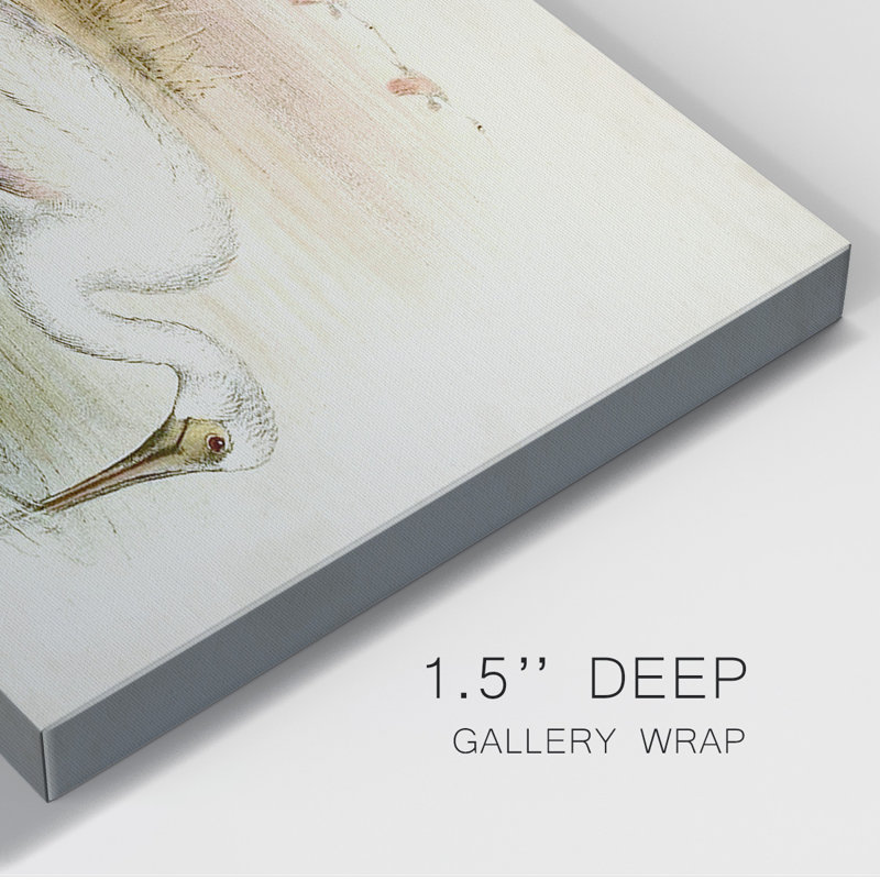 Roseat Spoonbills I - impression sur toile tendue, L 18 po x H 12 po