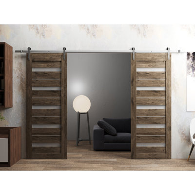 Quardo Frosted Glass Paneled Wood Barn Doors