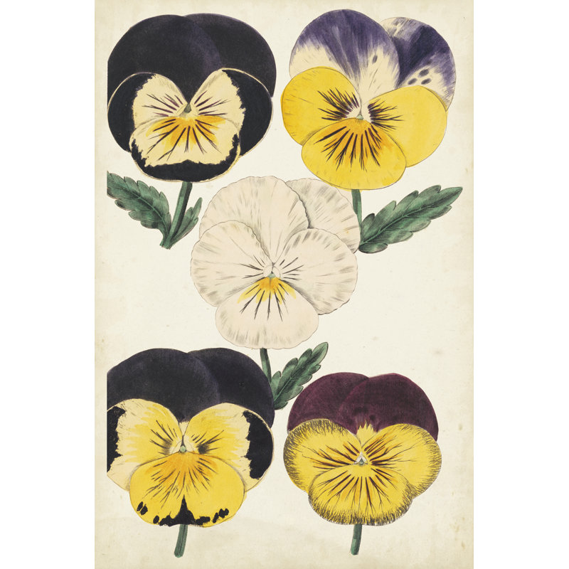 " Antique Pansies II " Painting Print, 48" H x 32" W x 1.25" D