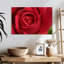 Rose rouge Harnek-108706072