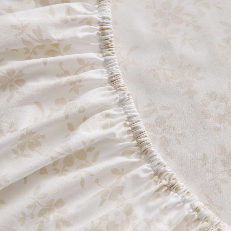 Martha Stewart Cotton Percale  Sheet Set, Queen Sheet Set with 2 Pillowcases, Francesca Stripe Beige