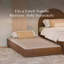 Twin Storage Trundle Bed-458842565