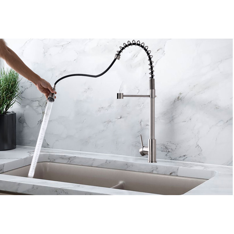 Robinet de cuisine à poignée simple avec accessoires Hesser, Nickel brossé