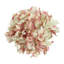 Fausse tige d'hortensia-40159547