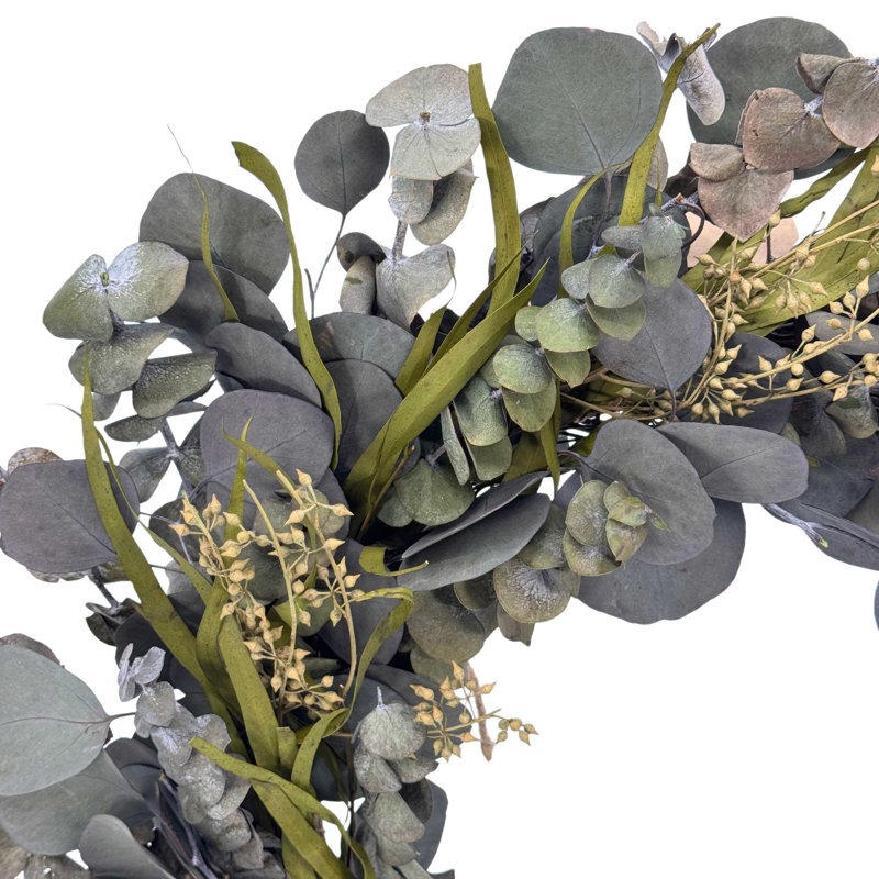 Couronne d'eucalyptus vert naturellement préservée 21 po