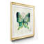 Papillon croquis II - Cadre photo, reproduction d'art sur papier-1783954121-1783954127