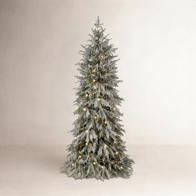 6' Microled Snowy Norfolk Tree49"D500L+49G40