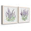 Lavande botanique I - ensemble de 2 peintures sur toile encadrées-2026641858-2026641859