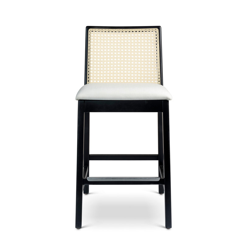 Modern Brazilian Nardia Cane Bar Stool, Counter Stool (25.5" Seat Height), Medley Ivory/Ebano/Natural
