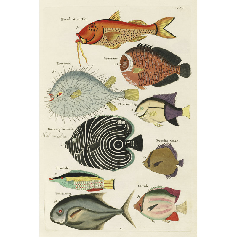 «Afeefa Renard Tropical Fish VI» sur toile par Louis Renard, H 12 po x l 8 po