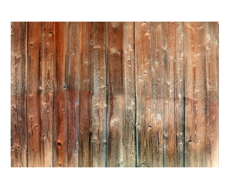 Dzoba Textured Matte Peel & Stick Mural, 294 cm x 210 cm