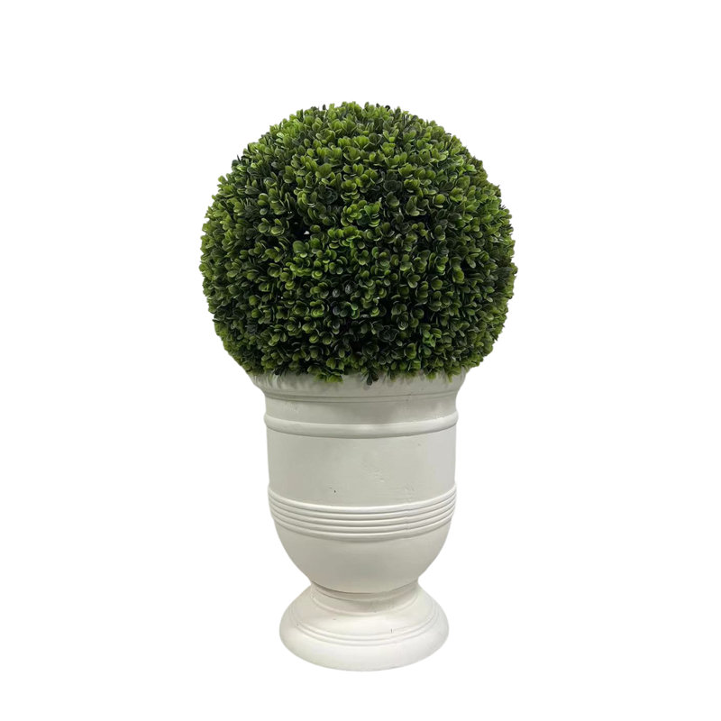 Plante de 24 po